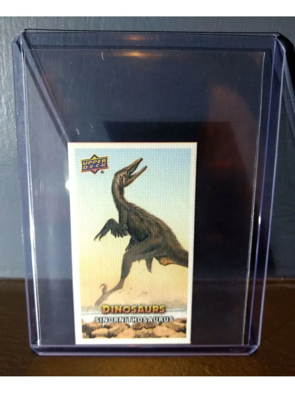 2015 Upper Deck Dinosaurs Canvas Mini Sinornithosaurus #79 Trading Card